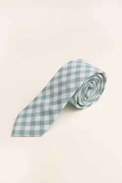 Mens Max Tie In Mint Gingham