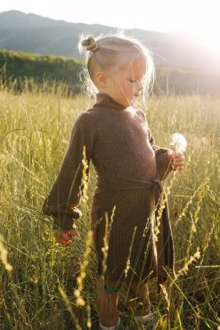 Mini Jensen Dress In Mocha - FINAL SALE