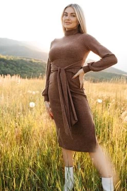 Jensen Dress In Mocha - FINAL SALE
