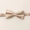 Baby Boys Henry Bow Tie In Champagne