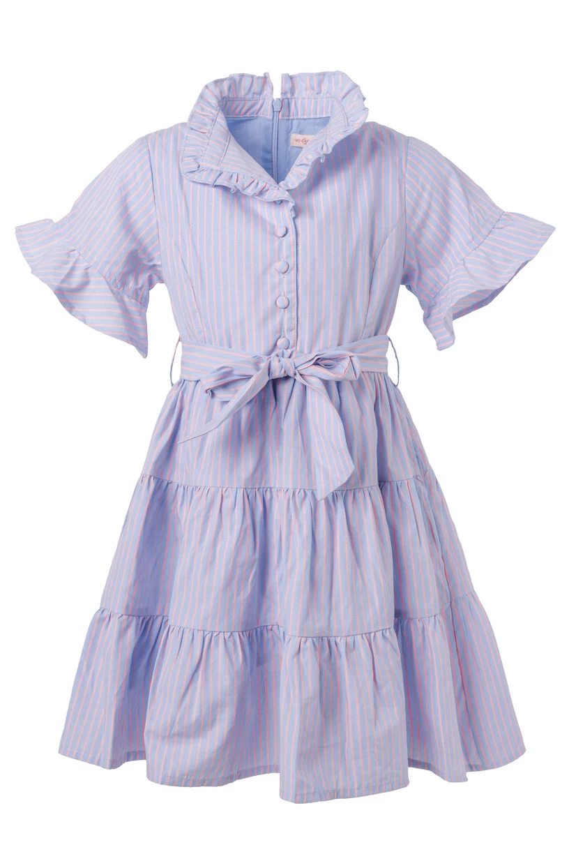 Mini Sutton Dress In Pinstripe - Image 6